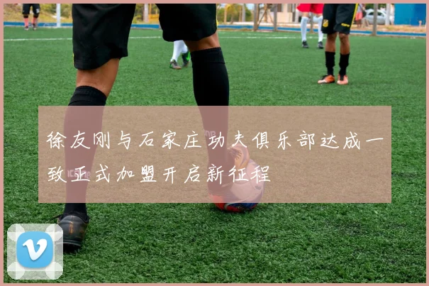 徐友刚与石家庄功夫俱乐部达成一致正式加盟开启新征程